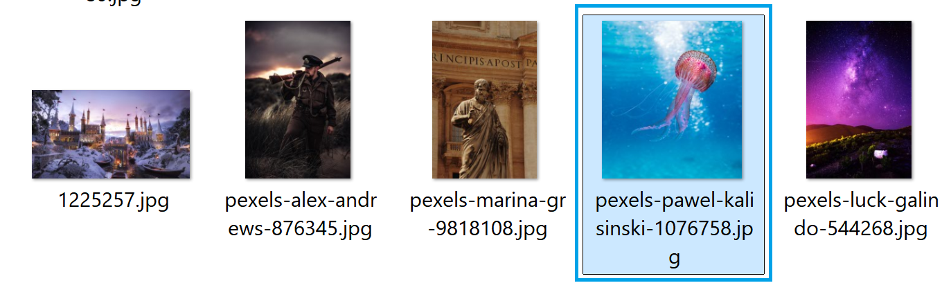 Text Input 24